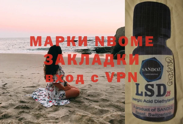прущие грибы Алзамай