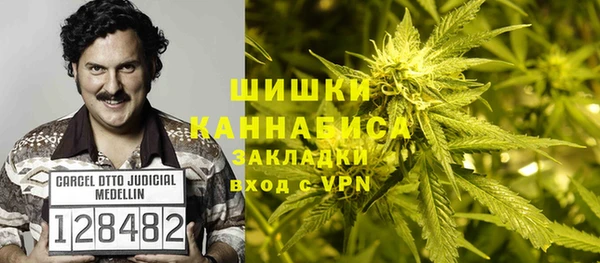 прущие грибы Алзамай