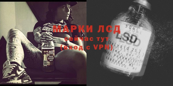 прущие грибы Алзамай