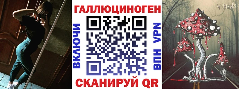 Галлюциногенные грибы прущие грибы  Купить  Строитель 