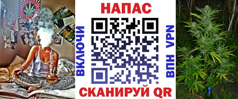 Купить где  Строитель  Шишки марихуана конопля 